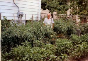 Mario Quagliata in his vegetable garden at age 80.