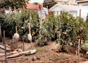 Mario Quagliata in his vegetable garden at age 80.