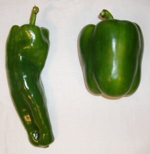 Comparing Grandpa's pepper to a Bell pepper.